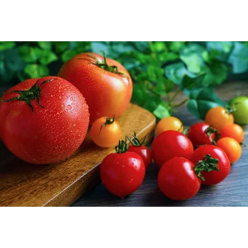 Tomato  (37)-4657651-92991.webp